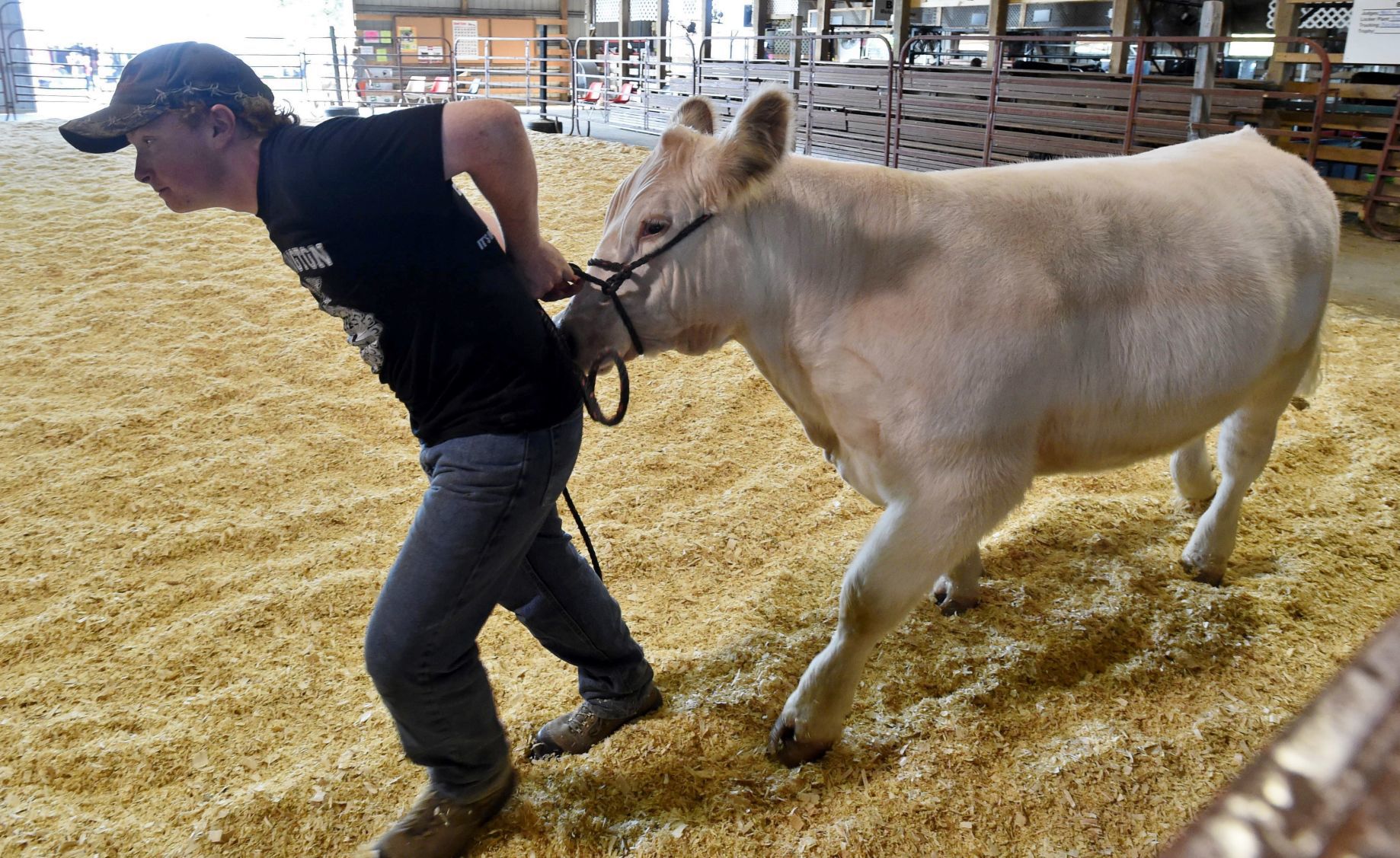 Racine County Fair 2019